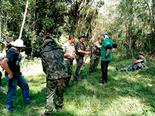 amazonas_017.jpg