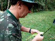 amazonas_022.jpg