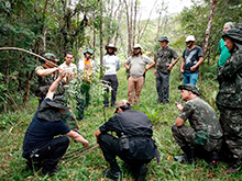 amazonas_027.jpg