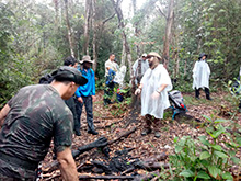 amazonas_030.jpg