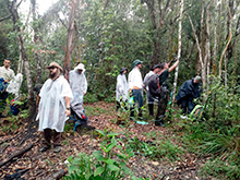 amazonas_031.jpg