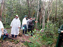 amazonas_032.jpg