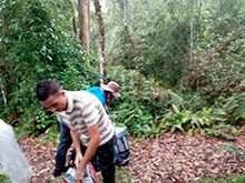 amazonas_034.jpg