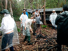 amazonas_036.jpg