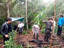 amazonas_038.jpg