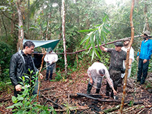 amazonas_039.jpg