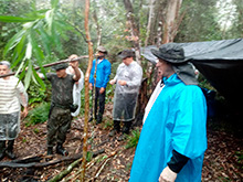 amazonas_040.jpg