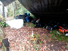 amazonas_041.jpg