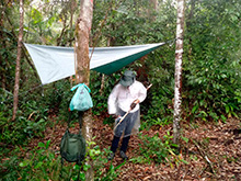 amazonas_043.jpg