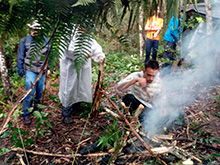 amazonas_044.jpg