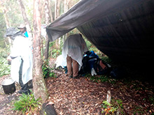 amazonas_046.jpg