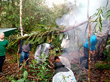 amazonas_047.jpg