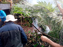 amazonas_049.jpg