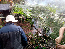 amazonas_050.jpg