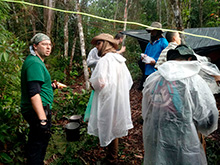 amazonas_051.jpg