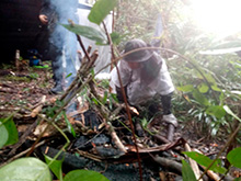 amazonas_052.jpg
