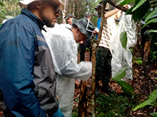 amazonas_053.jpg