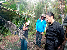 amazonas_057.jpg