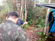 amazonas_058.jpg