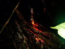 amazonas_061.jpg