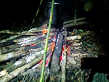 amazonas_063.jpg
