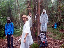 amazonas_075.jpg
