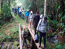 amazonas_077.jpg