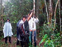 amazonas_078.jpg