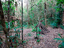 araguaia_001.jpg