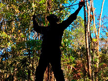 araguaia_016.jpg