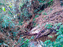 araguaia_019.jpg