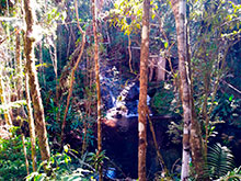 araguaia_026.jpg