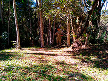 araguaia_037.jpg