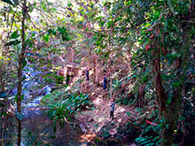 araguaia_040.jpg