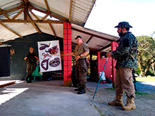 araguaia_052.jpg