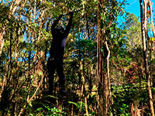 araguaia_061.jpg