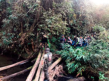 araguaia_086.jpg