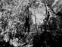 araguaia_088.jpg