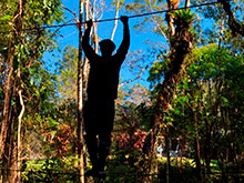 araguaia_092.jpg