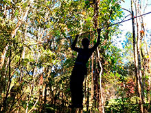 araguaia_095.jpg