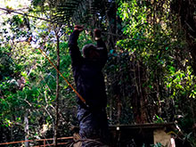 araguaia_099.jpg