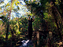 araguaia_100.jpg