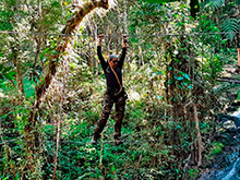 araguaia_101.jpg