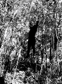 araguaia_113.jpg