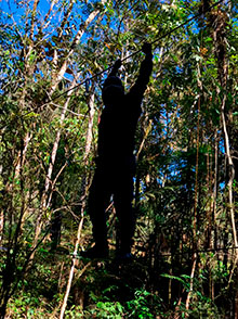 araguaia_121.jpg