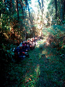 araguaia_123.jpg