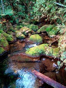 araguaia_124.jpg