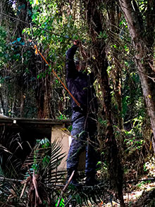 araguaia_131.jpg