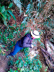 araguaia_152.jpg