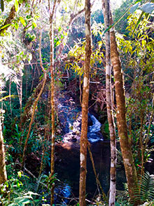 araguaia_156.jpg